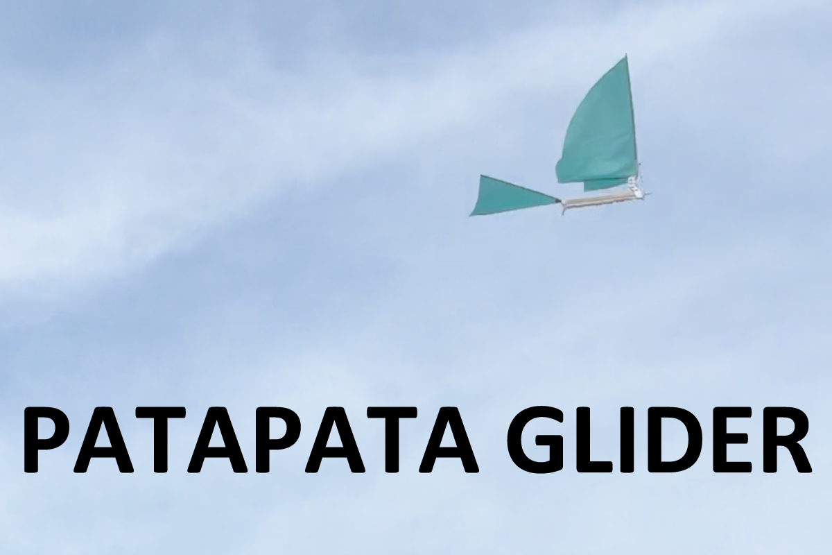 【New item】PATAPATA GLIDER | パタパタグライダー