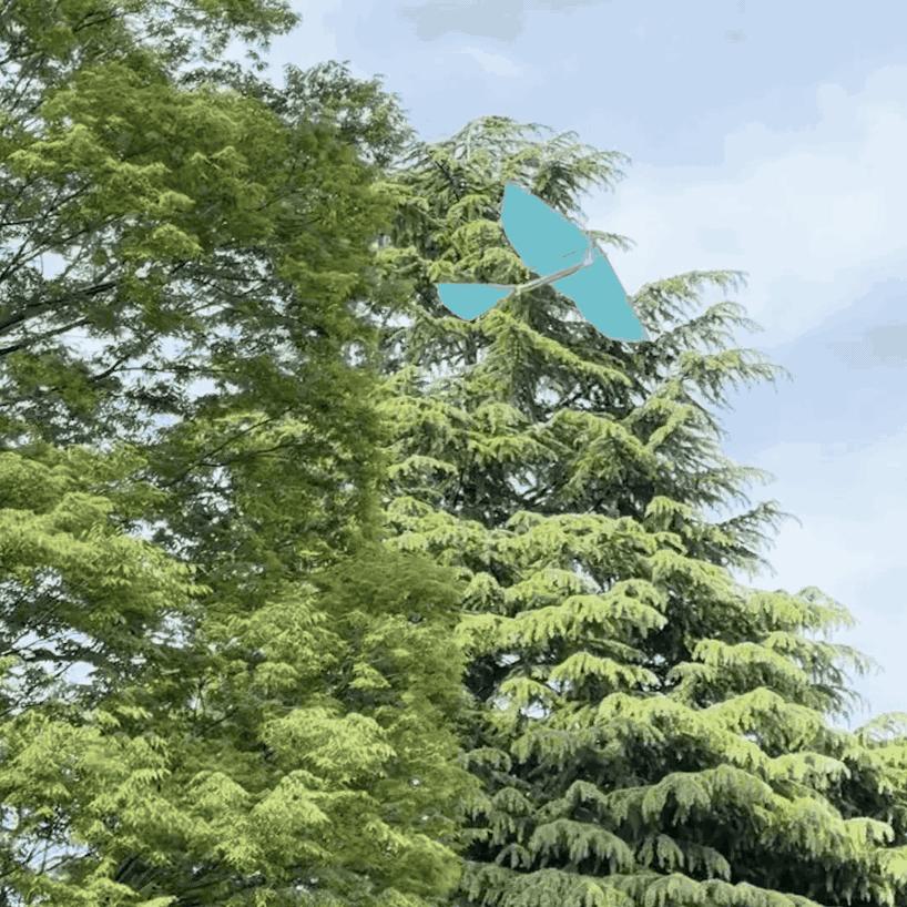 PATAPATA GLIDER_SAX BLUE